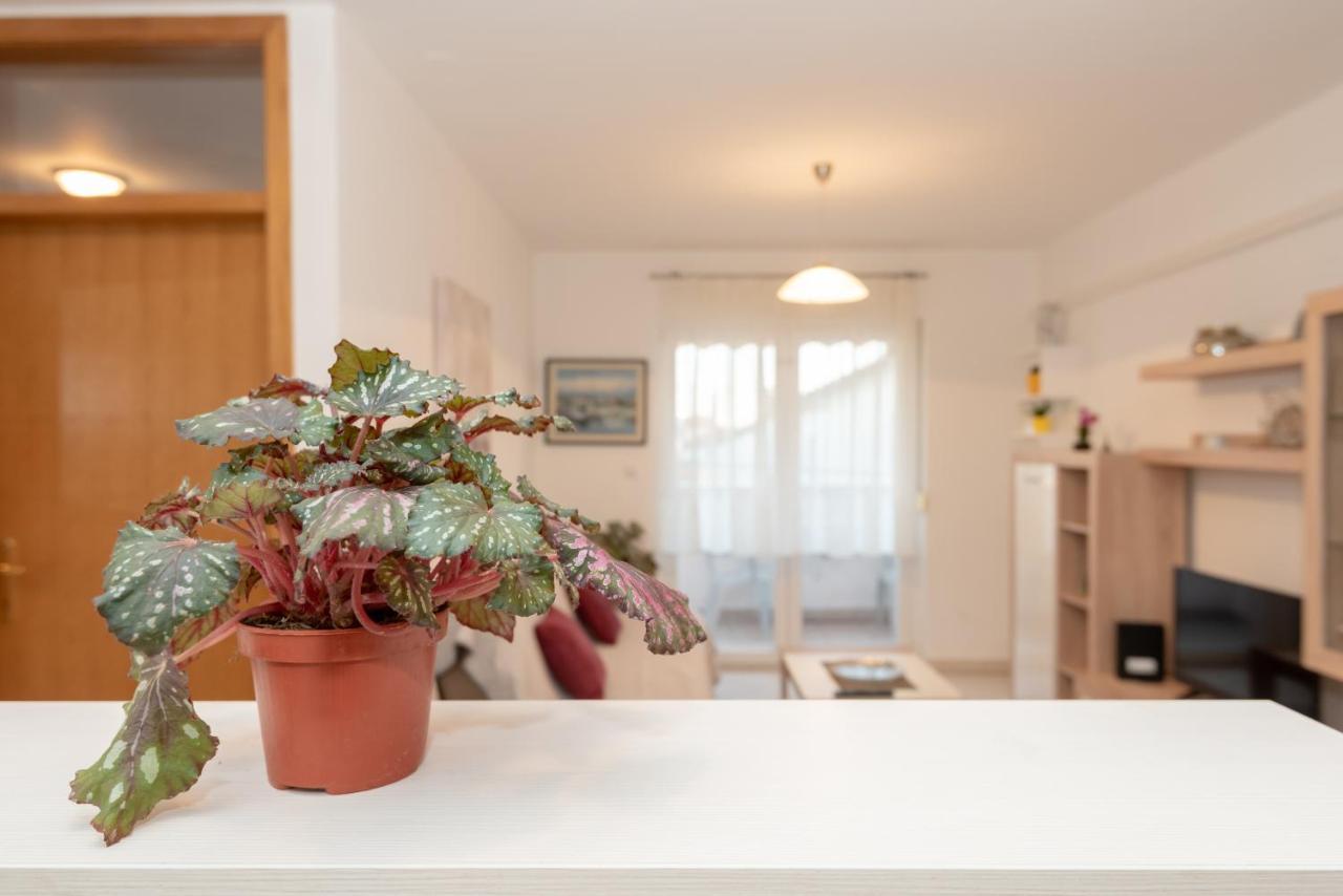 Apartman Valter Ζαντάρ Εξωτερικό φωτογραφία